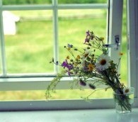 flowers window
